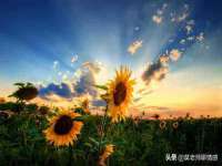 连云港蟹公虾婆电子商务有限公司