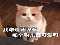 连云港蟹公虾婆电子商务有限公司