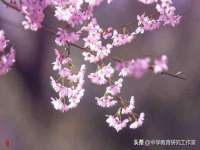 连云港蟹公虾婆电子商务有限公司