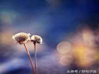 连云港蟹公虾婆电子商务有限公司