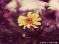 连云港蟹公虾婆电子商务有限公司