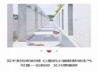 连云港蟹公虾婆电子商务有限公司