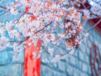 连云港蟹公虾婆电子商务有限公司