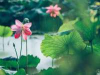 连云港蟹公虾婆电子商务有限公司