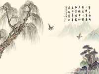 连云港蟹公虾婆电子商务有限公司