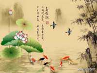 连云港蟹公虾婆电子商务有限公司