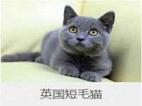 连云港蟹公虾婆电子商务有限公司