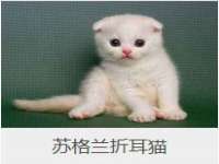 连云港蟹公虾婆电子商务有限公司
