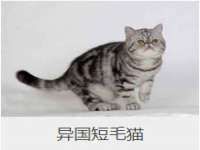 连云港蟹公虾婆电子商务有限公司
