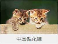 连云港蟹公虾婆电子商务有限公司