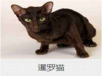 连云港蟹公虾婆电子商务有限公司