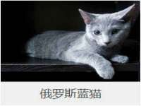 连云港蟹公虾婆电子商务有限公司