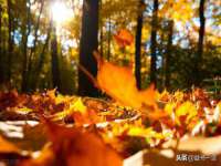 连云港蟹公虾婆电子商务有限公司