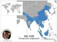 连云港蟹公虾婆电子商务有限公司