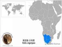 连云港蟹公虾婆电子商务有限公司