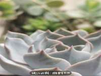 连云港蟹公虾婆电子商务有限公司