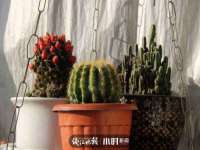 连云港蟹公虾婆电子商务有限公司