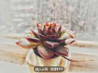 连云港蟹公虾婆电子商务有限公司