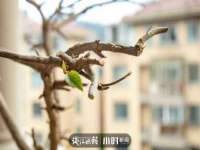 连云港蟹公虾婆电子商务有限公司