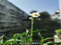 连云港蟹公虾婆电子商务有限公司