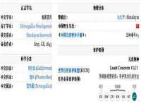 连云港蟹公虾婆电子商务有限公司