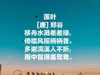 连云港蟹公虾婆电子商务有限公司
