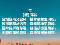连云港蟹公虾婆电子商务有限公司