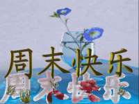 连云港蟹公虾婆电子商务有限公司