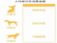连云港蟹公虾婆电子商务有限公司