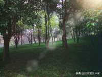 连云港蟹公虾婆电子商务有限公司
