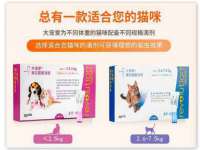 连云港蟹公虾婆电子商务有限公司