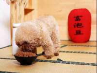 连云港蟹公虾婆电子商务有限公司