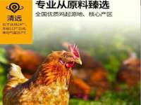 连云港蟹公虾婆电子商务有限公司