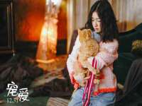连云港蟹公虾婆电子商务有限公司