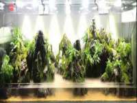 连云港蟹公虾婆电子商务有限公司