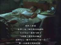 连云港蟹公虾婆电子商务有限公司
