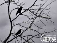 连云港蟹公虾婆电子商务有限公司