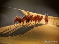 连云港蟹公虾婆电子商务有限公司