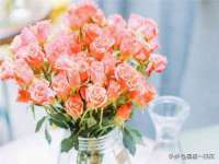 连云港蟹公虾婆电子商务有限公司