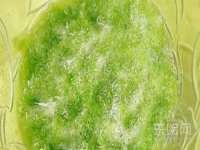 连云港蟹公虾婆电子商务有限公司