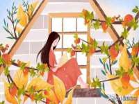 连云港蟹公虾婆电子商务有限公司