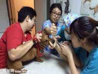 连云港蟹公虾婆电子商务有限公司