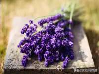 连云港蟹公虾婆电子商务有限公司