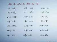 连云港蟹公虾婆电子商务有限公司