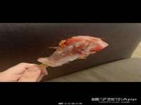 连云港蟹公虾婆电子商务有限公司