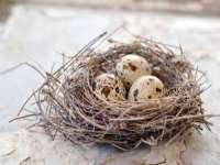 连云港蟹公虾婆电子商务有限公司